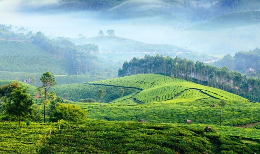 Munnar